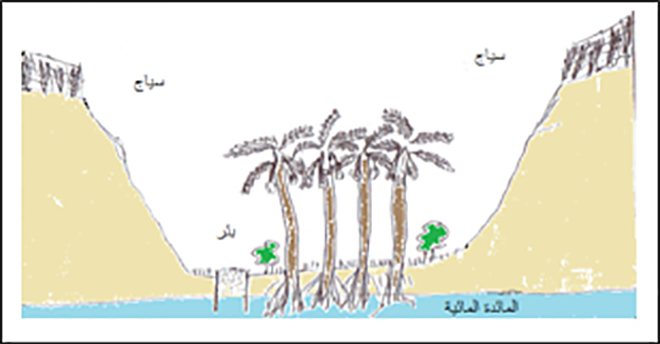 مقطع بياني لغوط