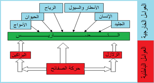 عوامل تشكل التضاريس