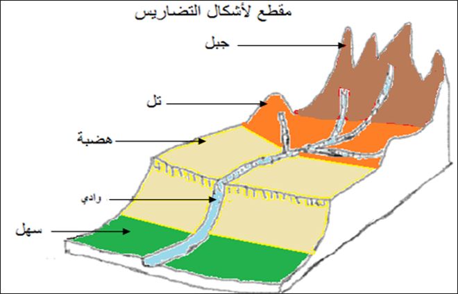مقطع لأشكال التضاريس