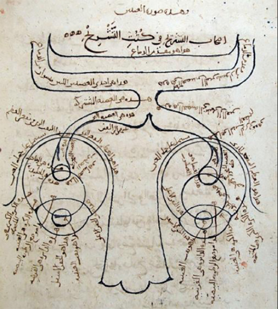 نسخة مخطوطة من كتاب المناظر
