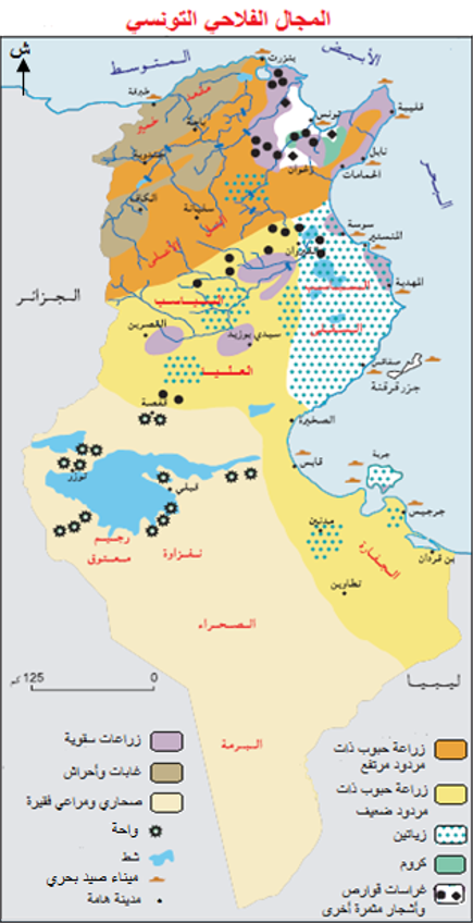 المجال الفلاحي التونسي